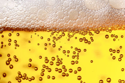 Close-up of beer glass