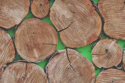 Full frame shot of tree leaves in forest