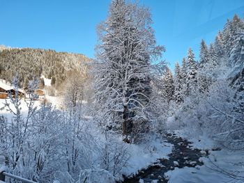 Scenic view of snow covered landscape against clear blue sky