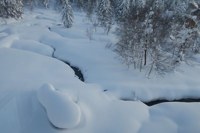 Scenic view of snow covered land and trees