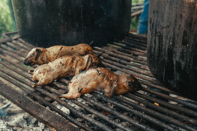 Close-up of meat on barbecue grill