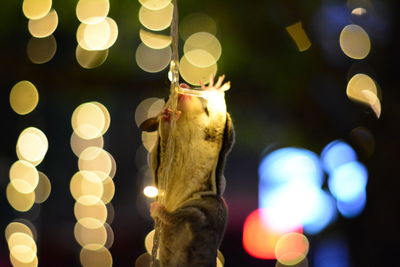 Defocused image of illuminated lights