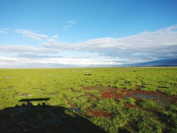 Scenic view of field against cloudy sky