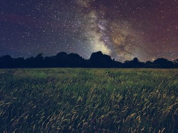 Scenic view of illuminated field against sky at night