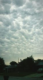 Cloudy sky over trees