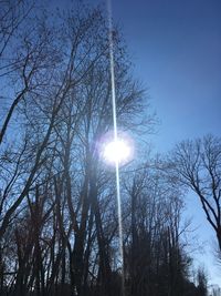 Low angle view of bare trees against sky