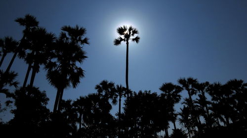 Low angle view of silhouette palm trees against clear sky