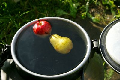 Close-up of fruits in water