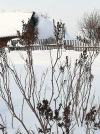 Bare tree by snow covered house against sky