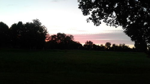 Silhouette trees on field against sky at sunset