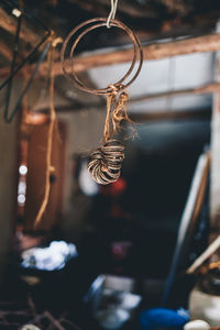 Close-up of snake hanging