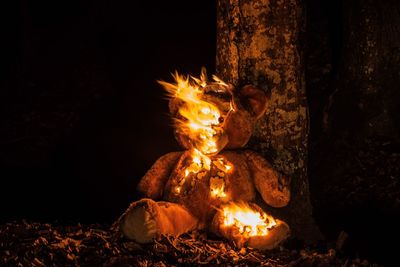 Close-up of illuminated fire against sky at night