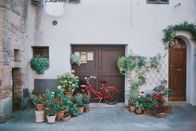 Italian scene. bike and flowers.