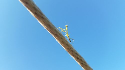 Low angle view of a flag against blue sky