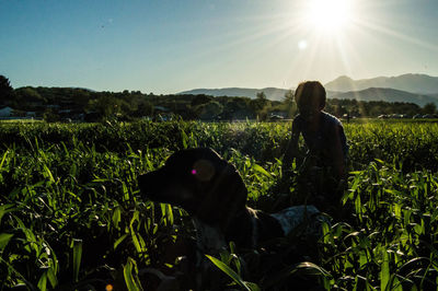 Man and dog on field against sky during sunny day