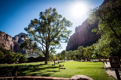 Scenic view of park against sky