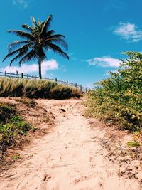 Dirt road passing through landscape
