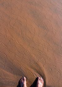 Low section of person standing on sand