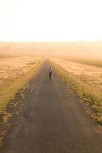People walking on road