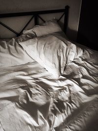 High angle view of dog sleeping on bed