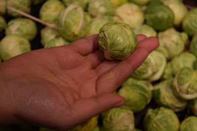 Close-up of hand holding brussels sprouts