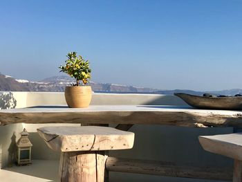 Close-up of potted plant by sea against clear sky