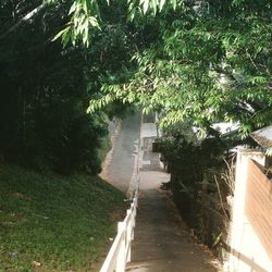 Narrow walkway in park