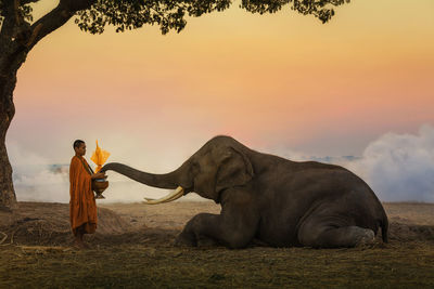 Monk with elephant standing on field against sky during sunset