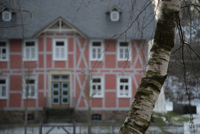 Houses against trees