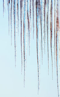 Low angle view of icicles hanging against clear sky