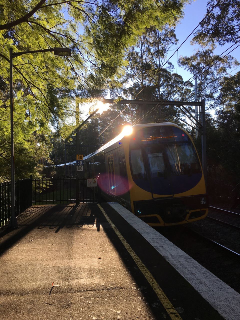 tree, transportation, sunlight, railroad track, mode of transport, railing, sunbeam, sun, travel, lens flare, built structure, the way forward, public transportation, outdoors, land vehicle, shadow, incidental people, rail transportation, architecture