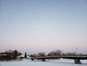 Snow covered trees against clear sky