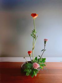 Close-up of red flower vase on table