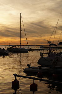 Sailboats moored in marina at sunset