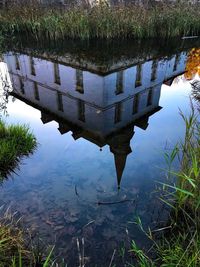 Reflection of plants in puddle on lake