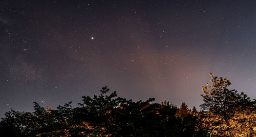 Low angle view of silhouette trees against sky at night