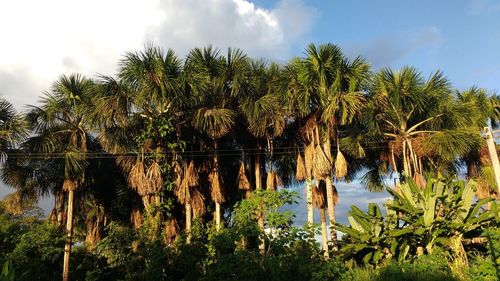 Scenic view of lake against cloudy sky