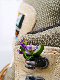 Close-up of purple flower on table