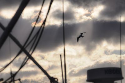 Low angle view of silhouette bird flying against sky during sunset