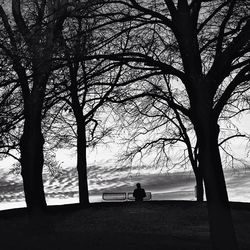 Silhouette of bare trees against sky