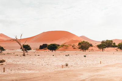 Scenic view of desert against sky