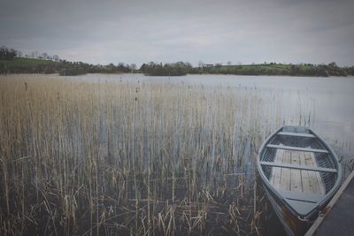 Lake with trees in background