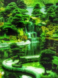 Reflection of trees in pond