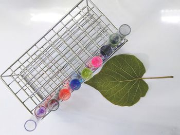 High angle view of colorful liquids in test tubes by leaf on table