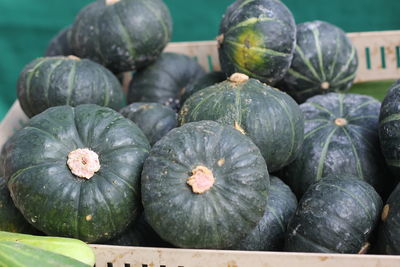 High angle view of pumpkins in market
