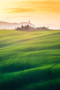 Scenic view of agricultural field against sky
