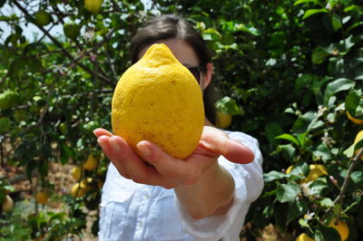 Woman holding lemon against plants