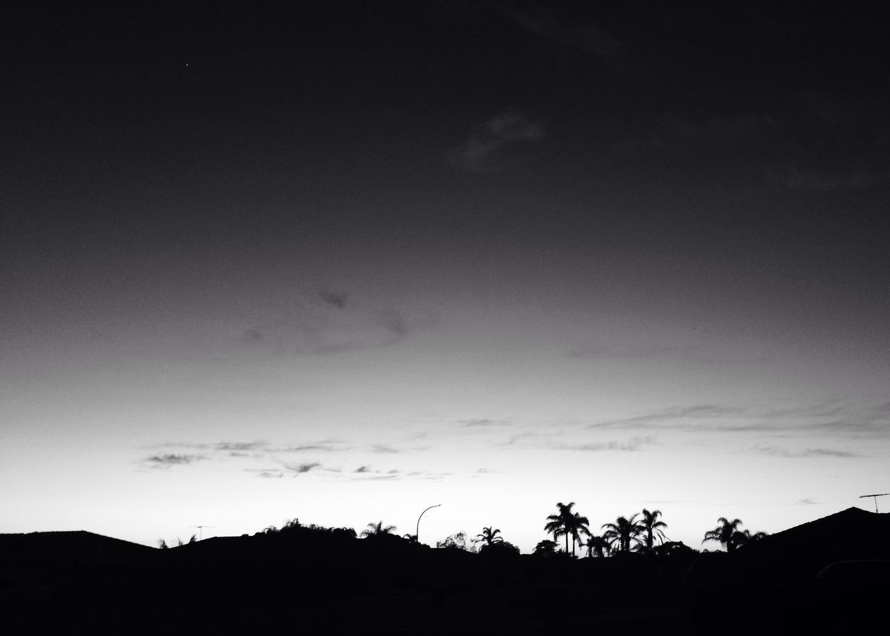 silhouette, sky, tranquility, tranquil scene, beauty in nature, scenics, tree, nature, landscape, low angle view, growth, cloud - sky, copy space, dusk, sunset, idyllic, cloud, outdoors, no people, non urban scene