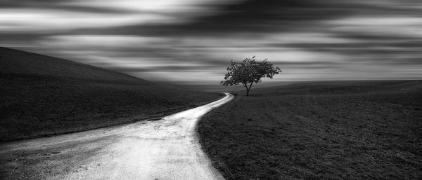 Road amidst trees on field against sky