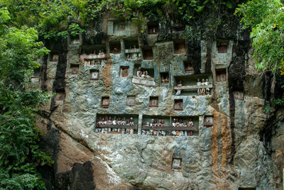 Burial site in tana toraja